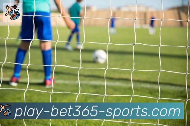bet365在线体育APP 封面图