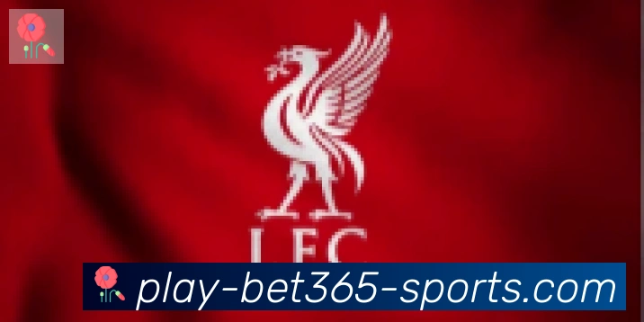 bet365在线体育合作伙伴